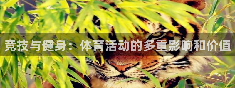 kok中欧体育