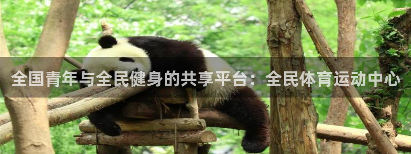 中欧体育kok官网首页