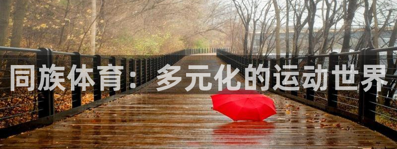 kok中欧体育