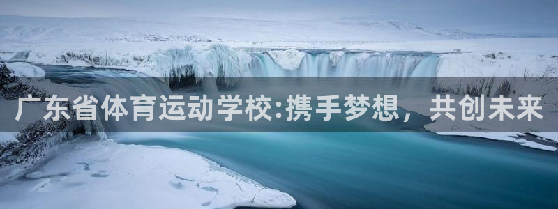 中欧体育集团