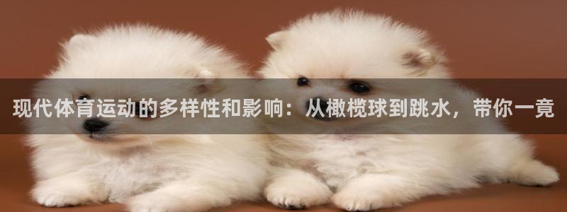 中欧体育下载
