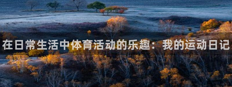中欧体育网页版