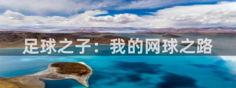 中欧体育kok