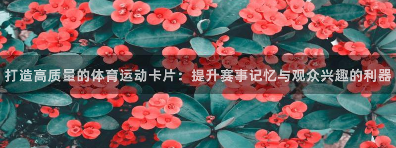 中欧体育
