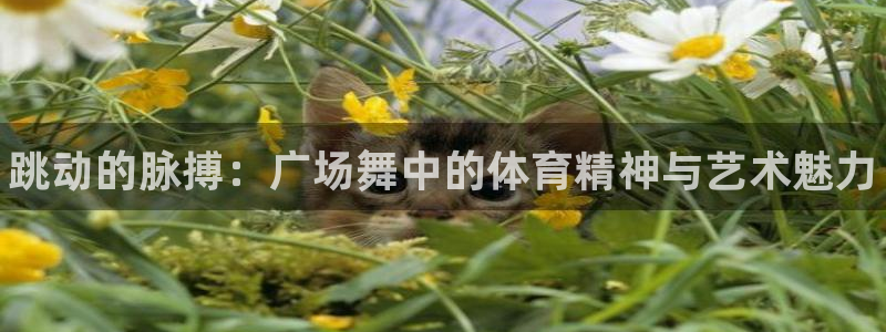 zoty中欧体育网址多少
