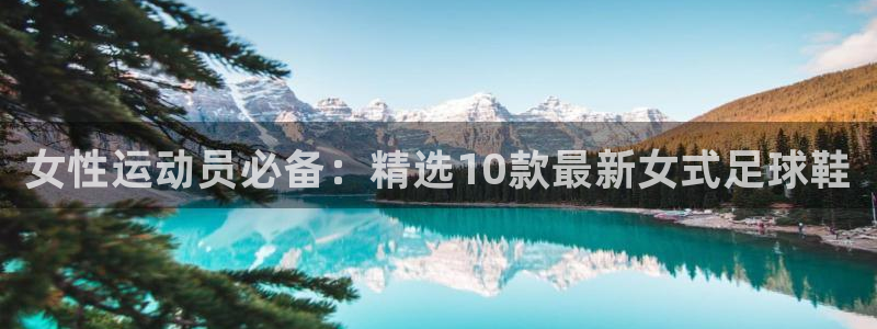 kok中欧体育