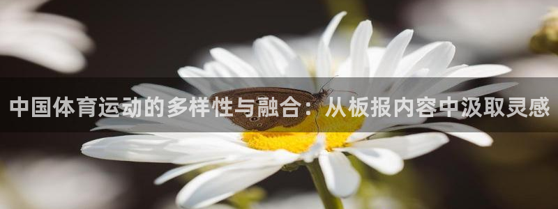 中欧体育登录