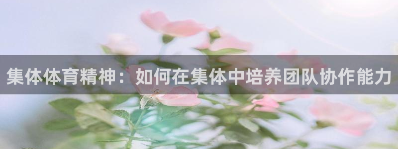 中欧体育官网
