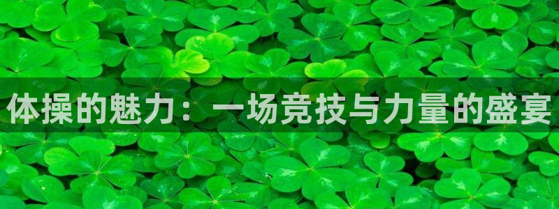 中欧体育平台